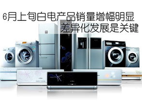 家电 现代家庭的得力助手